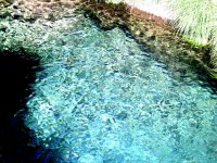 /album/arouca-em-imagens-/a006-jpg1/