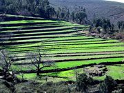 /album/arouca-em-imagens-/a011-jpg1/