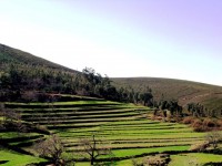 /album/arouca-em-imagens-/a013-jpg1/