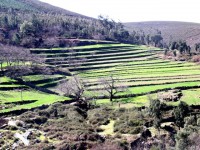 /album/arouca-em-imagens-/a014-jpg1/