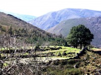 /album/arouca-em-imagens-/a015-jpg1/