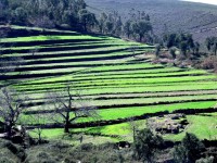 /album/arouca-em-imagens-/a016-jpg1/