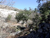 /album/arouca-em-imagens-/a017-jpg1/